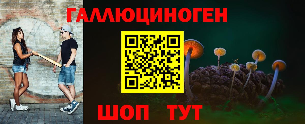 Псилоцибиновые грибы Magic Shrooms Будённовск
